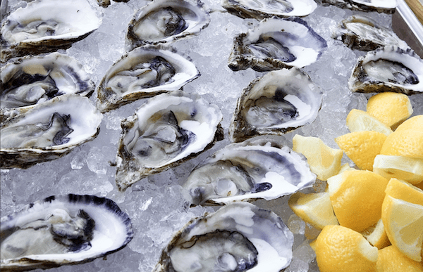 Oysters on ice with lemon showing the special nature of raw bar catering at events